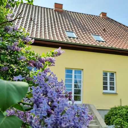 Gutshaus Neu Necheln Apartment Bruel Exterior photo